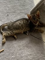 IMG_9007.jpeg