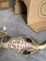 IMG_9016.jpeg