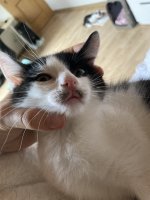 IMG_0079.jpeg