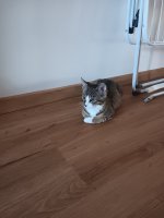 20250812_095853.jpg