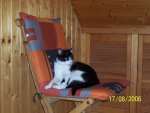 101_0611.jpg