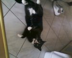 Foto-0089.jpg