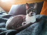 IMG_20130307_115612.jpg