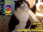 elmo fanclub 3 jahre.jpg
