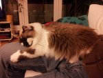 20130214_212803.jpg