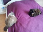20130201_111508.jpg