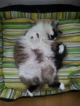20130411_142020.jpg