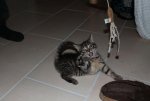 IMG_0485gimp.jpg