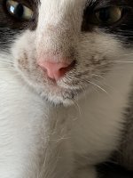 IMG_9077.jpeg
