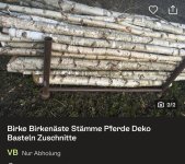 IMG_8555.jpeg
