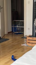 479198DA-9EB2-4367-956D-98F0DC0A3098.jpeg