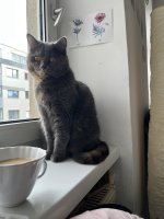 IMG_2320.jpeg