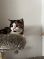 IMG_2348.jpeg