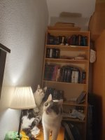 20250905_062637.jpg