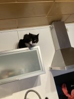 IMG_1906.jpeg