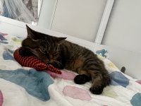 IMG_0222.jpeg