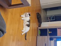 20250904_201127.jpg
