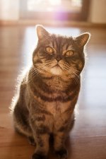 grumpyyy.jpg