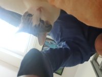 20250916_132156.jpg