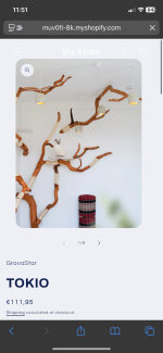 IMG_9097.png
