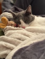 IMG_2779.jpeg IMG_2779.jpeg