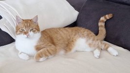 IMG_8225.jpeg