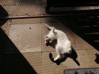 IMG_20250920_125911.jpg