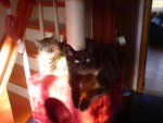 DSC01563.jpg