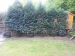 2013-05-27 17.46.09.jpg