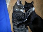 2013-01-20 23.49.01.jpg