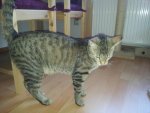 20130612_192342.jpg