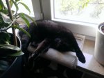 WP_20130511_002.jpg