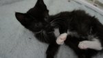 DSC03537.jpg