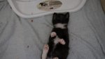 DSC03544.jpg
