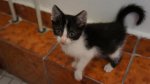DSC03482.jpg
