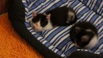 DSC03536.jpg