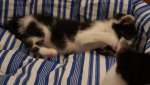 DSC03532.jpg