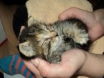 DSC01585.jpg