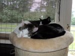 DSC01605.jpg