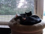 DSC01602.jpg