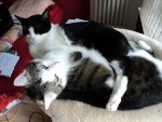 DSC01598.jpg