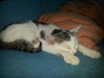 IMG-20130628-WA0035.jpg