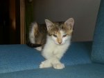 IMG-20130628-WA0038.jpg