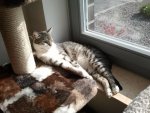2013-05-19 17.10.12.jpg