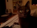 DSC00308.jpg