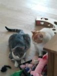 2013-06-01 12.09.59.jpg
