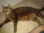 2013-06-29 10.09.28.jpg