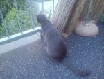 DSC00347.jpg