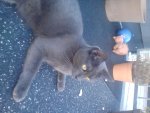 DSC00351.jpg
