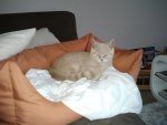 Foto0863.jpg